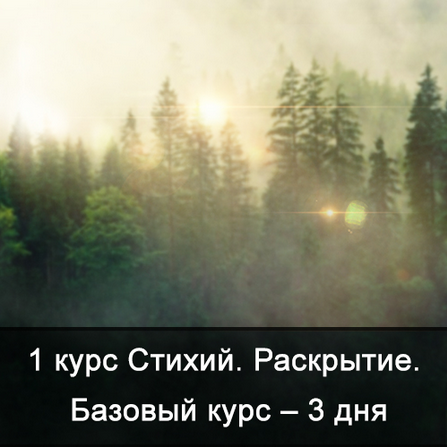 [Ксения Меньшикова] Факультет Стихии. 1 курс. 1 курс Стихий. Сила Стихий. Базовый курс (2025)