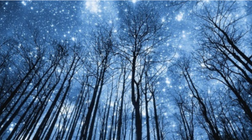 [Анна Староминская, Константин Дараган] Астрология налегке (ноябрь-декабрь 2024)