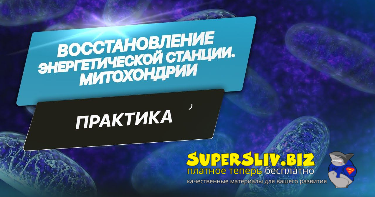 [Евгения Гинзбург] Восстановление Энергетической станции. Митохондрии (2024)