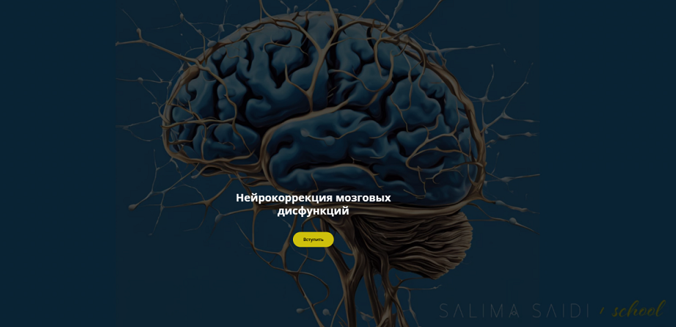 [Салима Саиди] Нейрокоррекция мозговых дисфункций (Октябрь 2024)