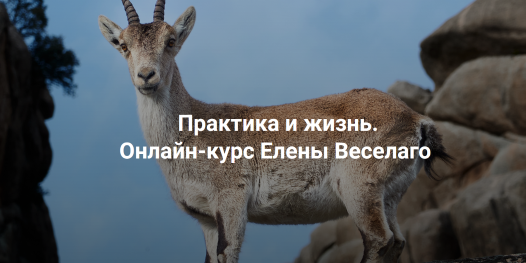 [Елена Веселаго] [Институт Открытого Поля] Практика и жизнь. Ступень 1 (2024)