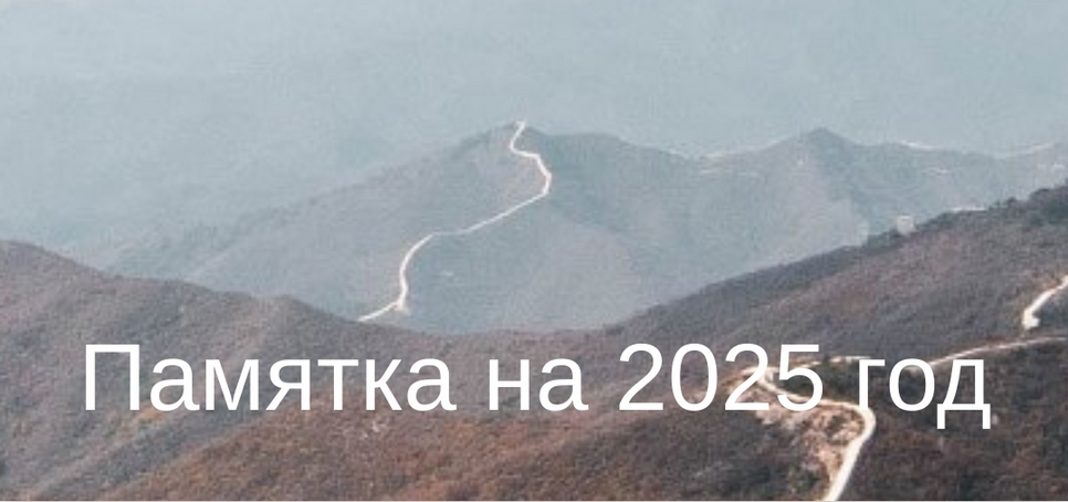 [Юлия Бальсина] Памятка на 2025 год (2024)