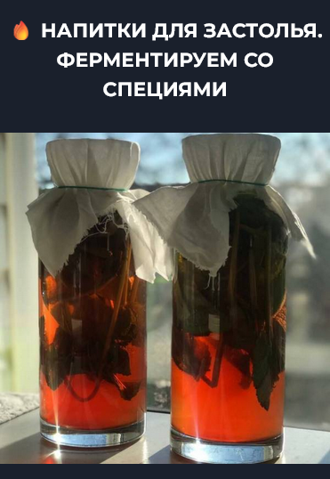 [Вероника Порсина] Напитки для застолья. Ферментируем со специями (2024)