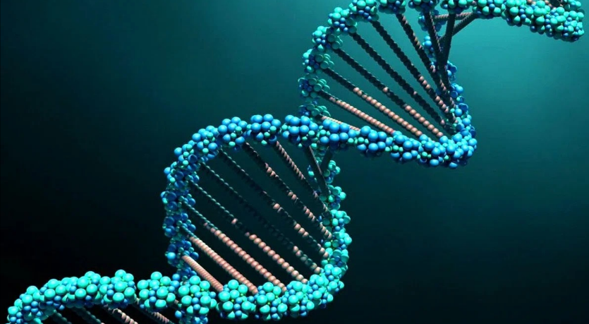 [Екатерина Гарцева] Высоковибрационный интенсив: Сотворение тела (2024)