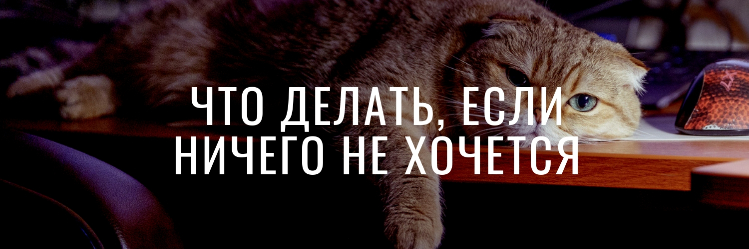 [b17] Марина Радионова ― Гайд «Что делать, когда ничего не хочется?» (2024)