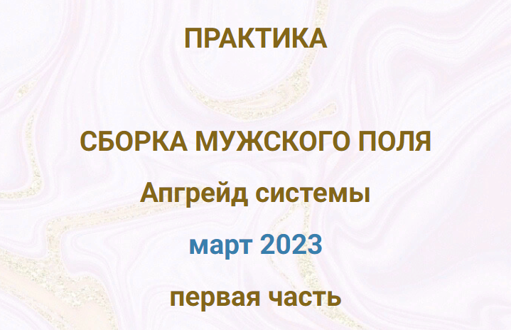 [Эмилия Франк] Практика «Сборка мужского поля. Апгрейд системы» (2023)