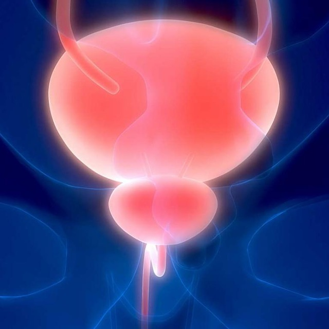 [Дмитрий Исаев, Александр Драгнев] Фабула Мужской ресурс 1.0 (2023)