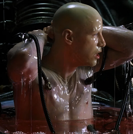 [Сергей Цмокалюк] [TsmokBlog] Целибат (2023)