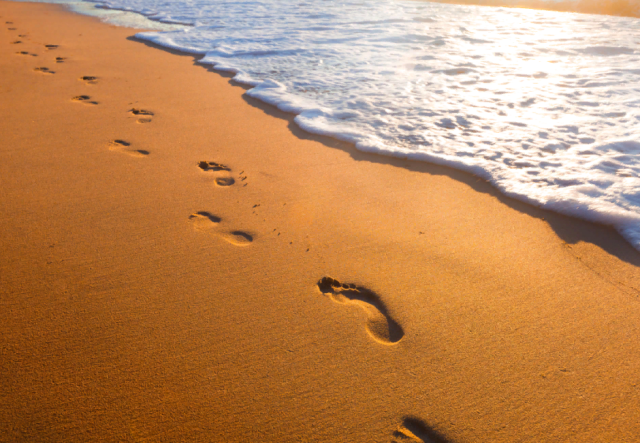 [Morpheus Fields] Полная регенерация тела 2 (2023)