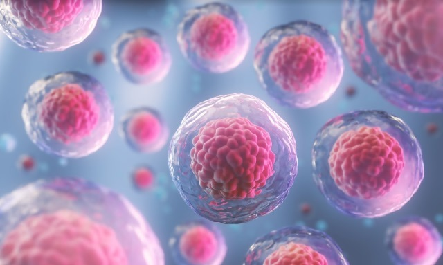 [Sigh Energy] Совершенство клеток (2022)