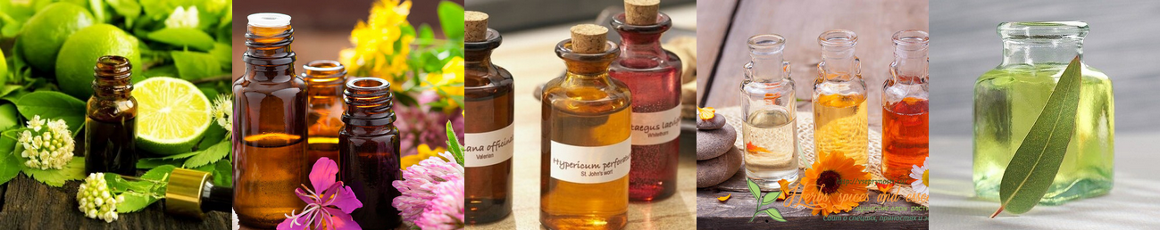 [Фенрир] Эфирные масла будуара. Второе занятие (2022)