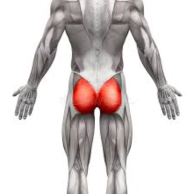 [Александр Волоткевич] Тренировка при плоских ягодицах и сглаженном поясничном лордозе (2025)