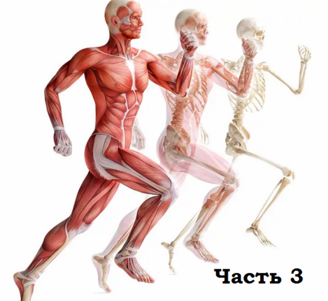 [Александр Волоткевич] Часть 3. Релаксация. Работа с вниманием и ощущениями (2025)