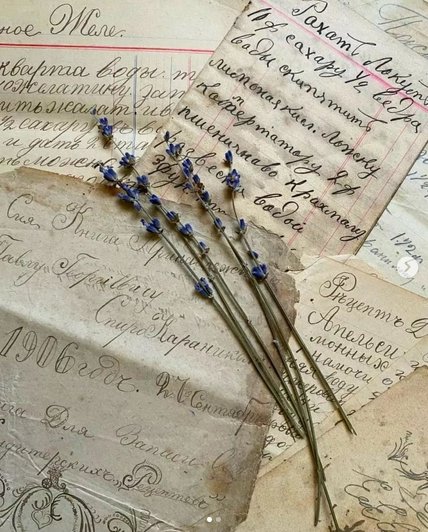 [Ирина Таро] Проект Реконструкция (2022)