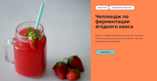 [Мария Сочилкина] [Ferment in Wonderland] Челлендж по ферментации ягодного кваса (2023)