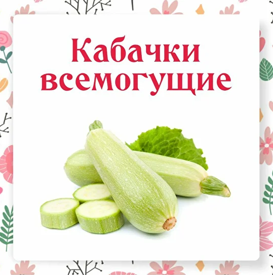 [Ольга Данчук, Елена Воронцова] [Ленивый кулинар] Кабачки всемогущие (2022)