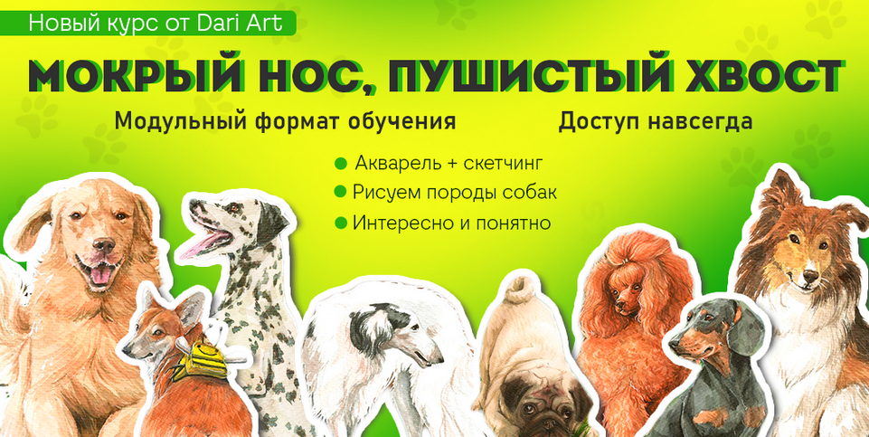 [Дарья Долгополова] [Dari Art] Мокрый нос, пушистый хвост (2024)