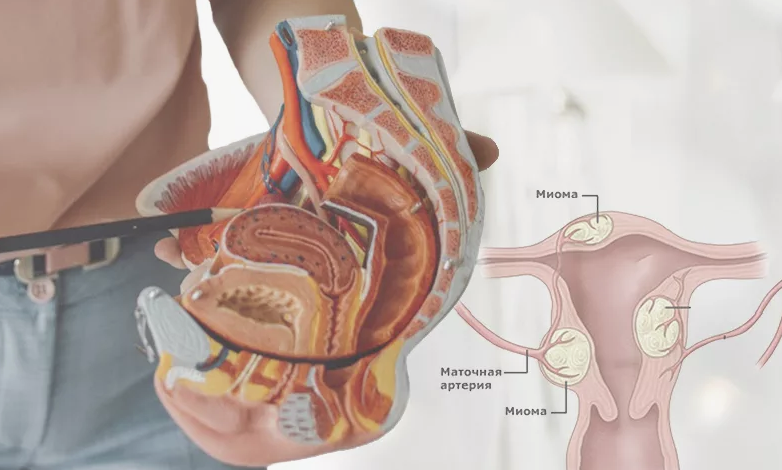 [Ирина Леонидова] Внутри женщины (2024)