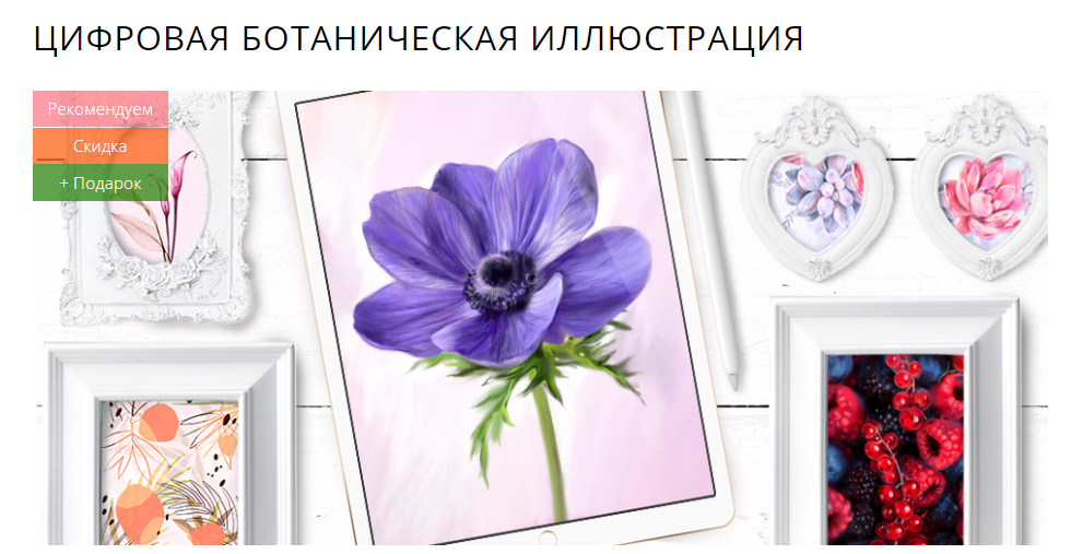 [Marker School] Юлия Максимова - Цифровая ботаническая иллюстрация (2023)