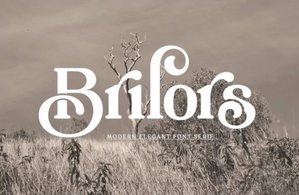 [Fontbundles] Brilors Serif (2022)