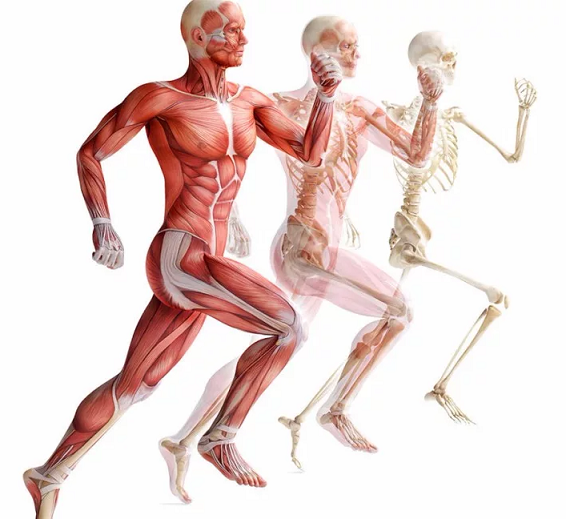 [Александр Волоткевич] Часть 2. Коррекция во фронтальной и поперечной плоскости (2025)