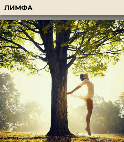 [Виктория Орлинская] [cardiodok] Лимфа. Тариф Расширенный (2025)