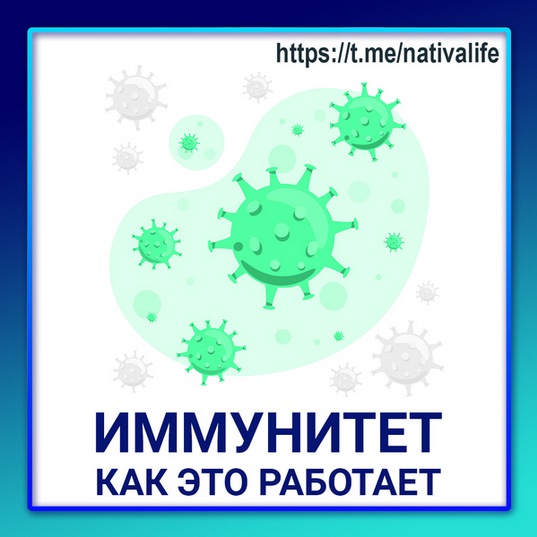 [Виктория Самира] [nativalife] Иммунитет: как это работает. Биологика. Физиология (2024)