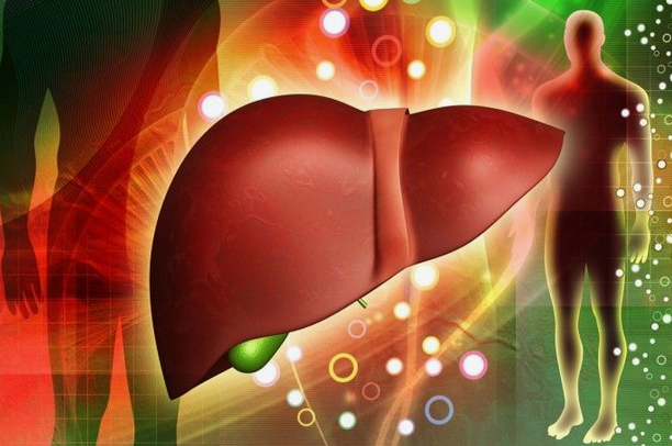 [Наталья Хаустова] [natahaus] Схема поддержки 2 фазы детокса печени с обновлениями (2024)