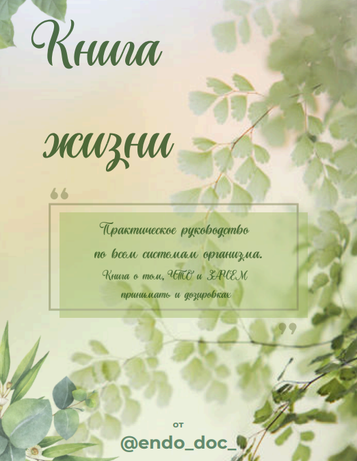[Лариса Чумак] [endo_doc_] Книга жизни (2024)