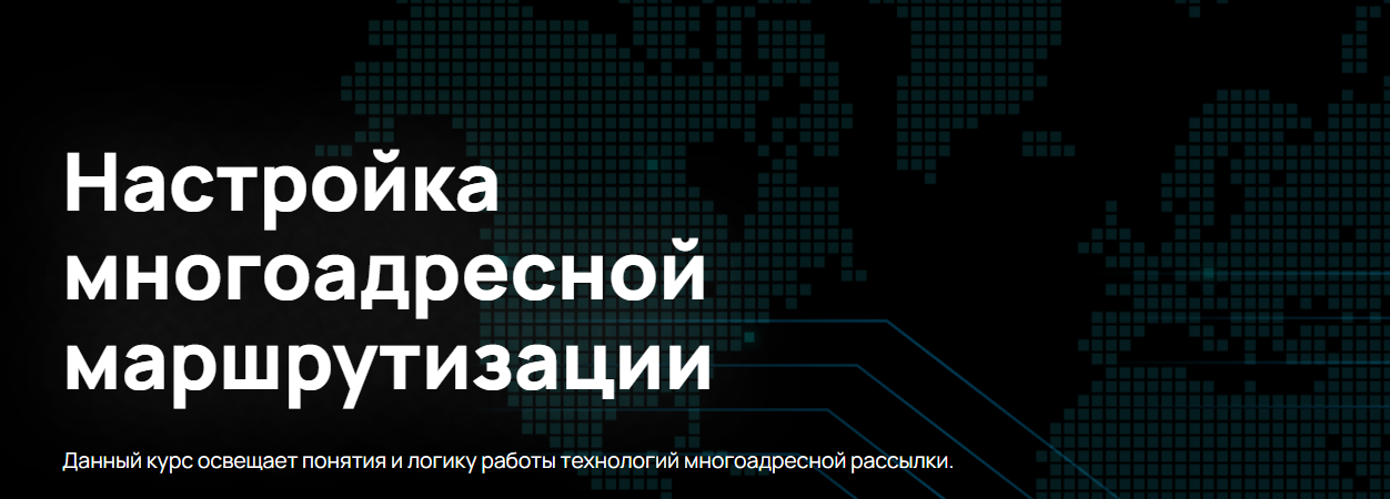 [n4e.ru] Алексей Гусев — Настройка многоадресной маршрутизации (2024)