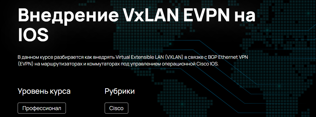 [n4e.ru] Алексей Гусев — Внедрение VxLAN EVPN на IOS (2024)