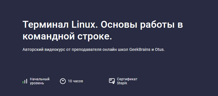 [Stepik] Терминал Linux. Основы работы в командной строке (2023)