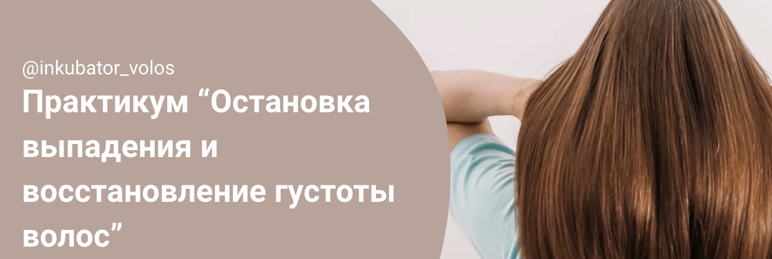 [Инкубатор волос] Алена Панова - Остановка выпадения и восстановление густоты волос (2023)