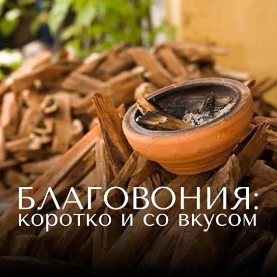 [Анна Зворыкина] Благовония: коротко и со вкусом (2024)