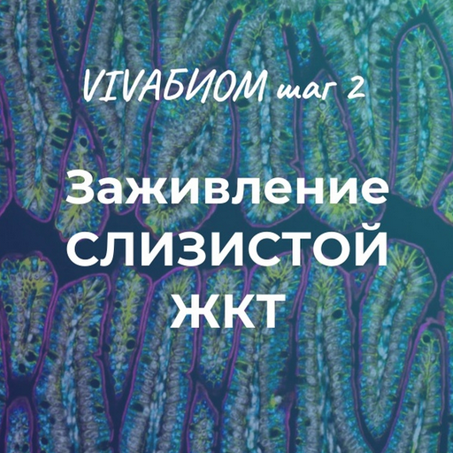 [Анна Кортунова] Vivabiom шаг 2: Заживление слизистой жкт (2023)