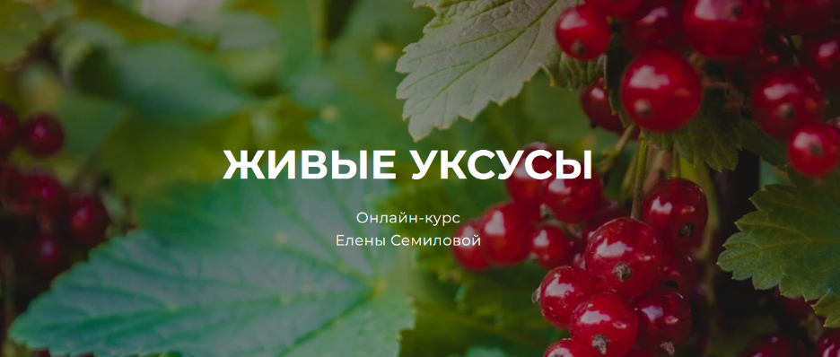 [Елена Семилова] Живые уксусы (2023)