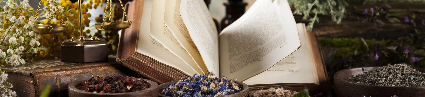 [Елена Горчакова] [Медвежий угол] 100 главных трав Руси (2023)