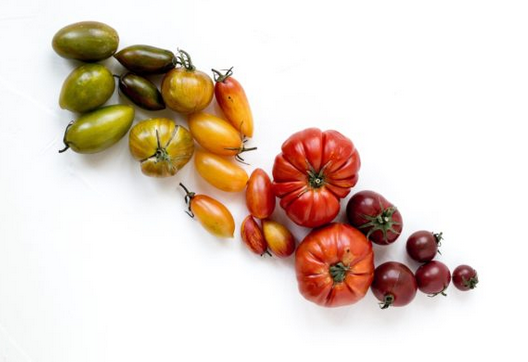 [Юлия Мальцева] Фитонутриенты: Еда как лекарство.Практический курс по функциональному питанию (2022)