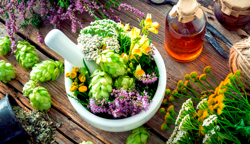 [Елена Корсун] [Фитоведа] Технология приготовления фитопрепаратов в домашних условиях (2022)