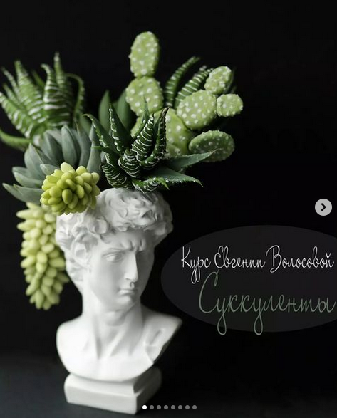 [Евгения Волосова] [Лепка] Суккуленты (2022)