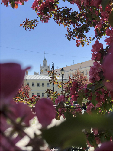 [Amazing Way] Маршруты по Москве: Китай-город (2024)