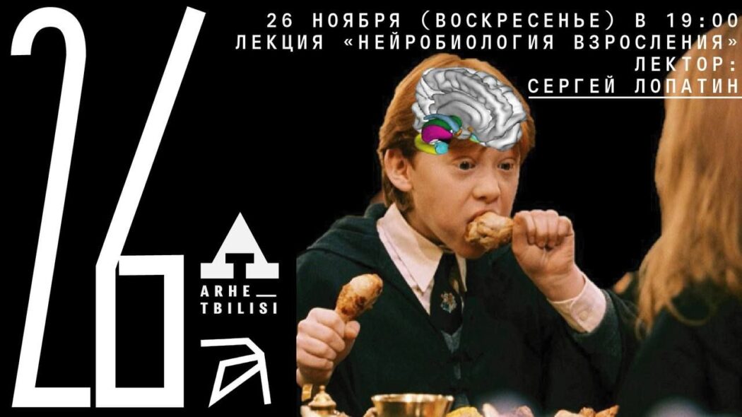 [Архэ] Сергей Лопатин - Нейробиология взросления (2023)