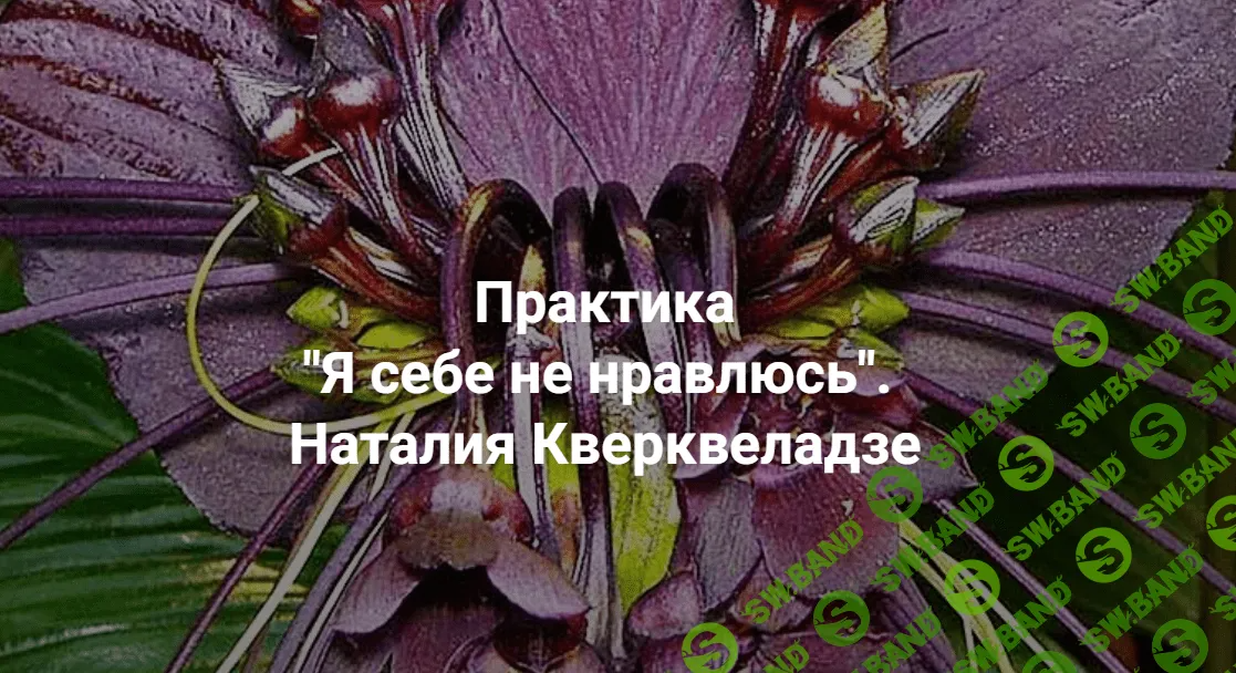 [Центр Современных системных расстановок Елены Веселаго] Любимое дело (2023)