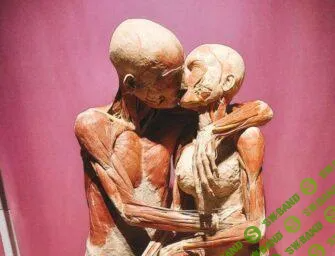 [Архэ] Физиология любви (2025)