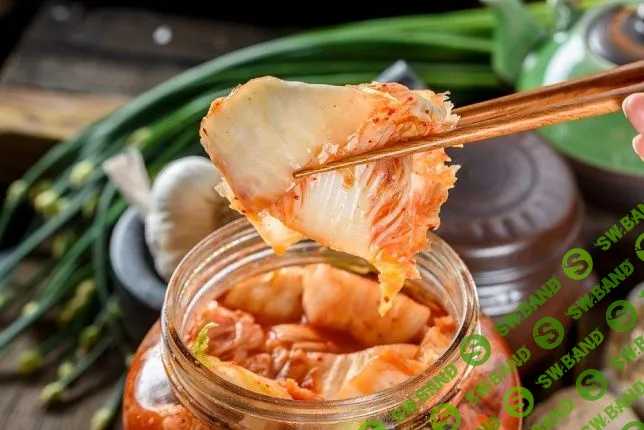 [Ольга Угрюмова] Домашняя Ферментация 2 (2023)