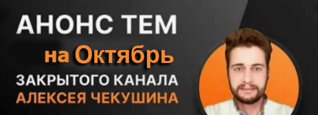 [Алексей Чекушин] Закрытый телеграм-канал "Seo Update". Октябрь (2024)