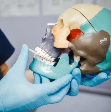 [А. Максимов] Мышечно-фасциальная терапия дисфункции ВНЧС с позиции прикладной кинезиологии (2025)