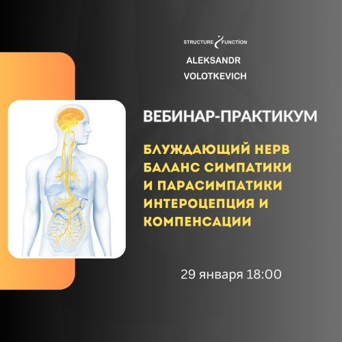 [Александр Волоткевич] Блуждающий нерв: баланс симпатики и парасимпатики (2025)