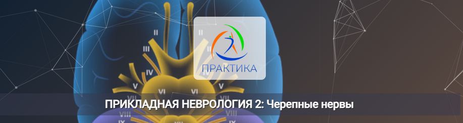 [Мария Недре] [Центр Практика] Прикладная неврология 2: Черепные нервы (2025)