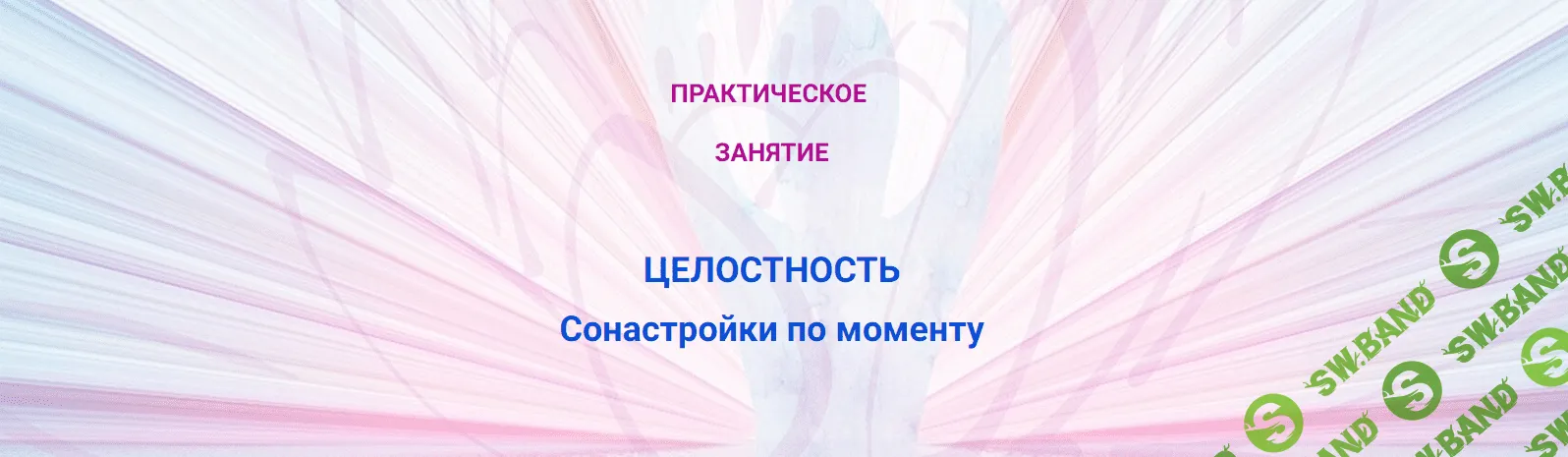 [Эмилия Франк] Практика Целостность сонастройки моменту (2023)